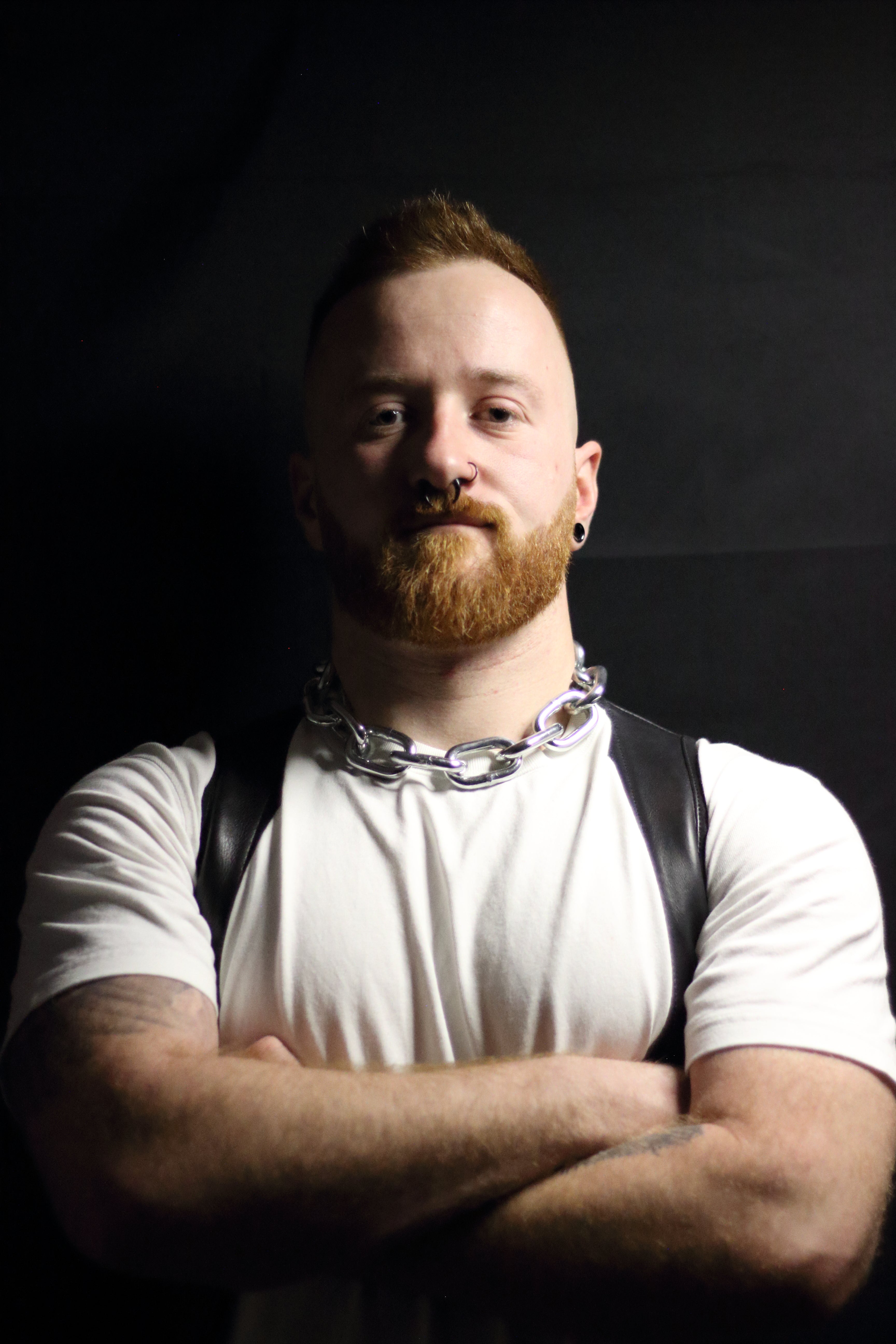 THE ALPHA