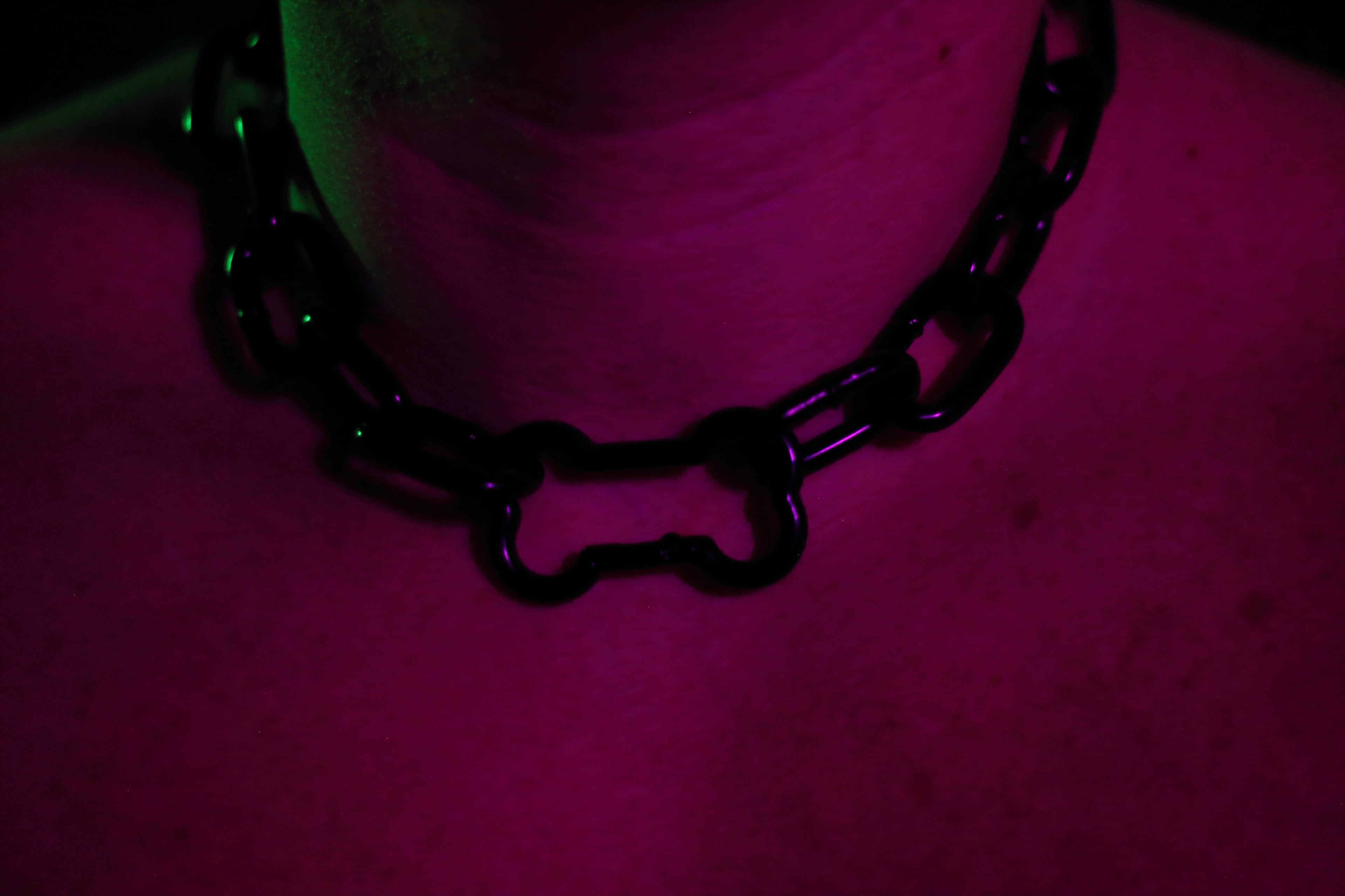 THE SHADOW PUP