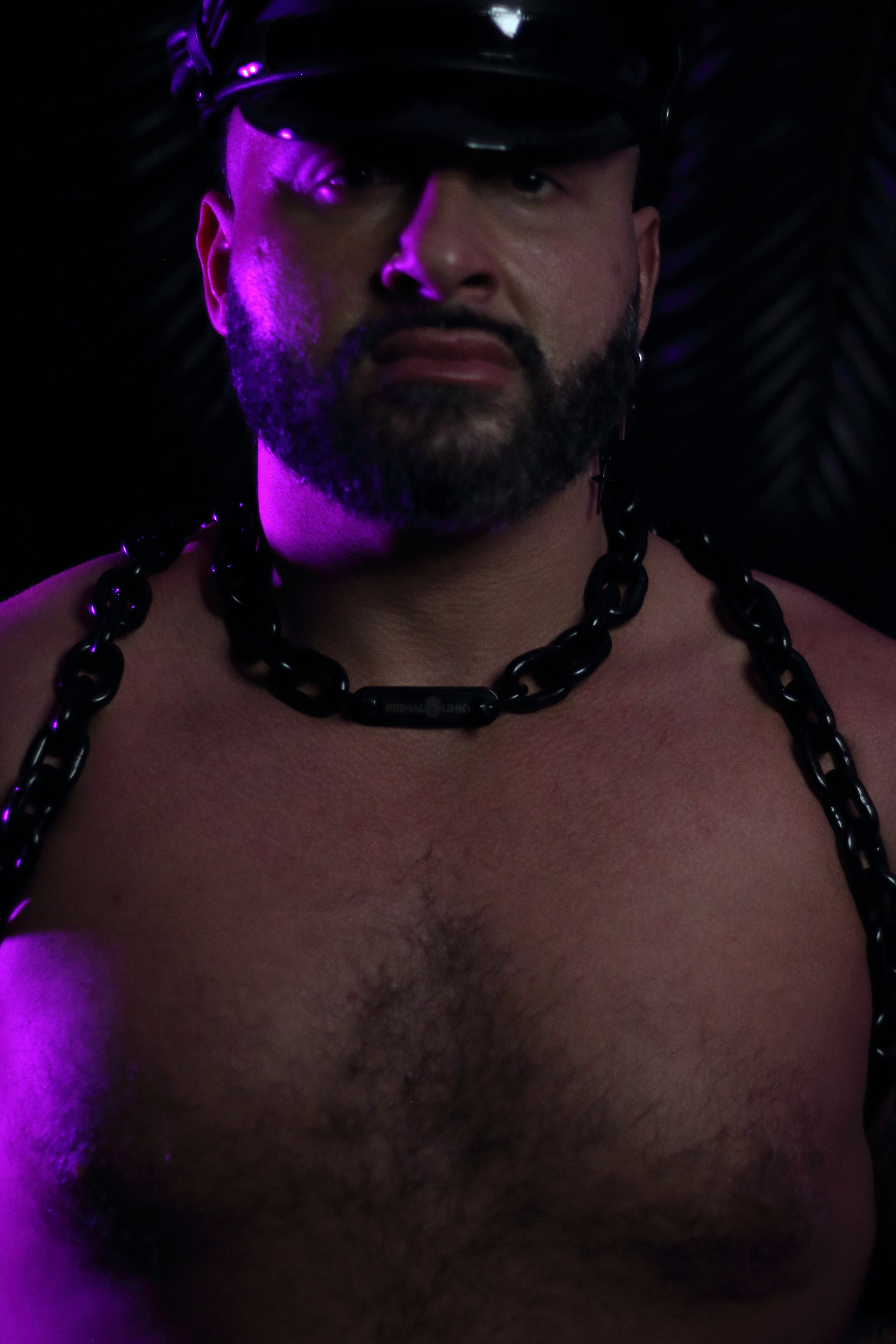 THE SHADOW HARNESS